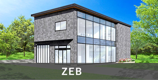 ZEB